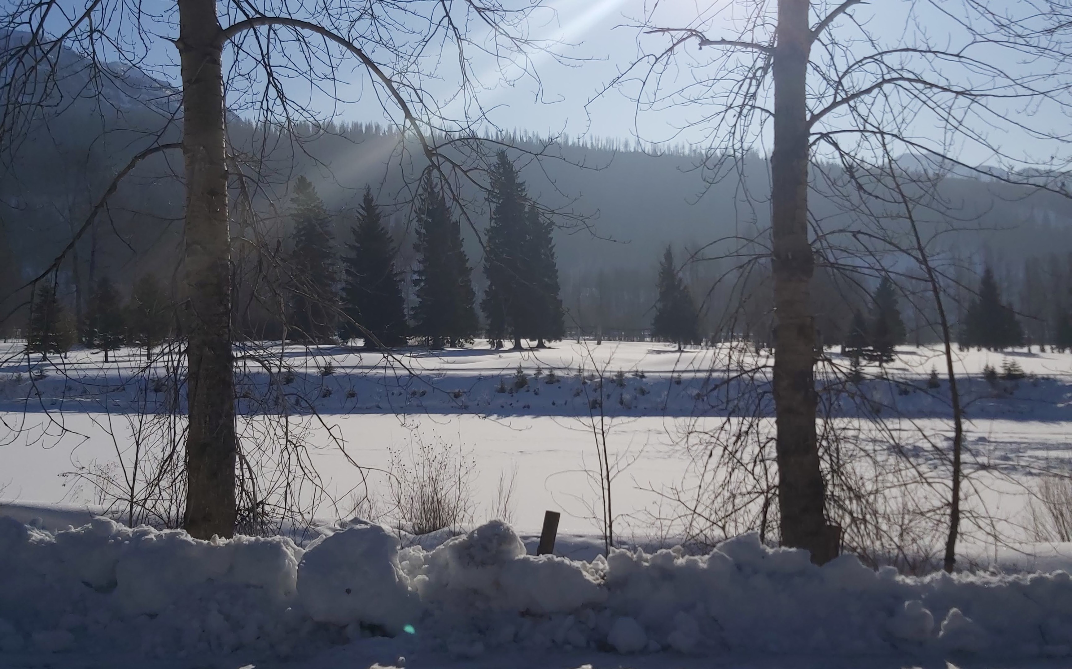 Vally seen through trees
